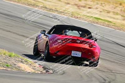 media/Mar-23-2025-West Coast Racing (Sun) [[de161b708f]]/Blue Group/Session 3 (Turns 3 and 5)/